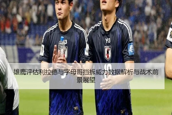 雄鹿评估利拉德与字母哥挡拆威力数据解析与战术前景展望